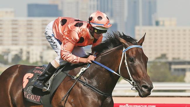 MELBOURNE, AUSTRALIA - FEBRUARY 16:  Jockey Luke Nolen riding Black Caviar wins race 7 the Black Caviar Lightning Stakes during Lightning Stakes Day at Flemington Racecourse on February 16, 2013 in Melbourne, Australia.  (Photo by Scott Barbour/Getty Images for the VRC)