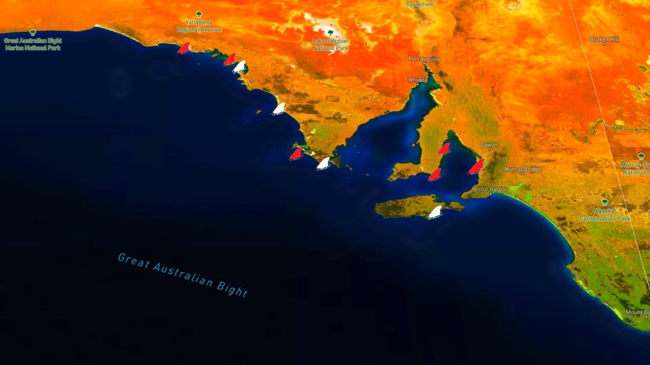 Interactive map reveals truth about sharks in Australia | news.com.au