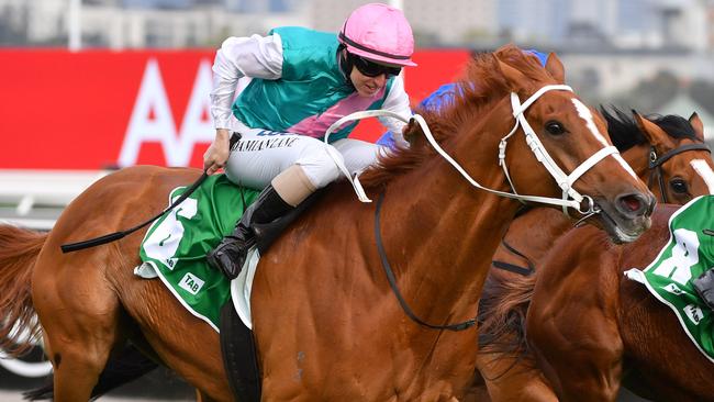 Finche is among the main chances in the Melbourne Cup. Picture: AAP