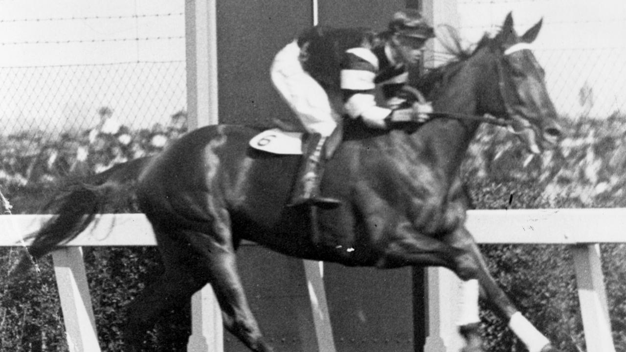 Aust racehorse, Phar Lap winning the 1930 Melbourne Cup.  horse horseracing  a/ct       1930s