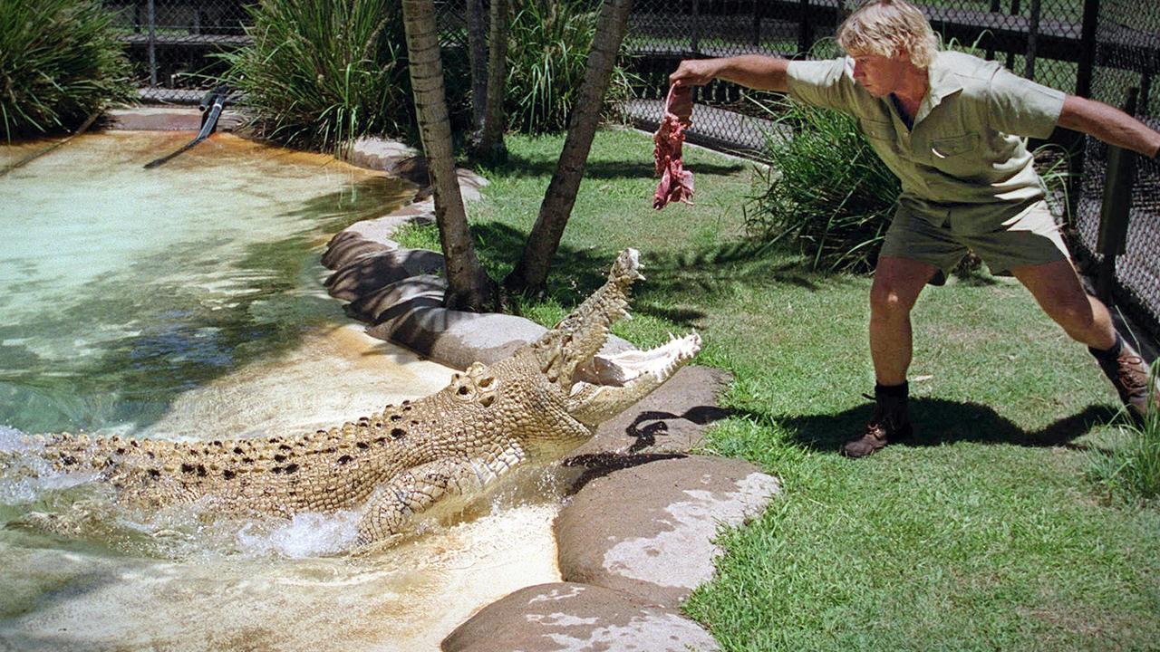 Robert Irwin is filmed in terrifying encounter with 350kg crocodile at ...