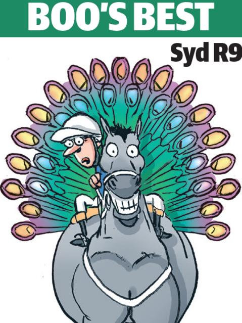 Boo Bailey's cartoon tip for Rosehill.