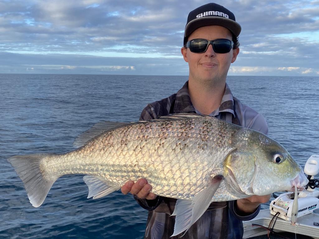 Bream - Fishing Cairns