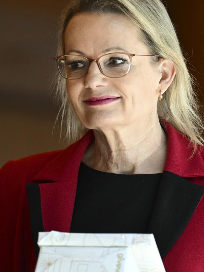 Sussan Ley. Picture: NewsWire / Martin Ollman