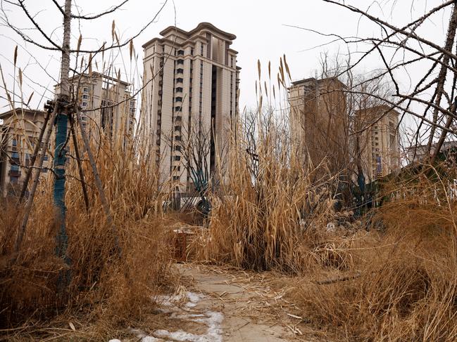 A view of an unfinished residential compound developed by China Evergrande Group in the outskirts of Shijiazhuang, Hebei province, China February 1, 2024. REUTERS/Tingshu Wang