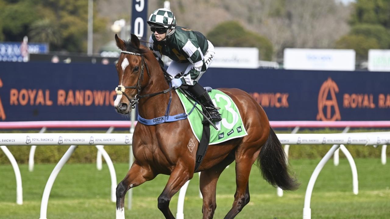 Commando Jack is ready to break through for a deserved win. Picture: Bradley Photos