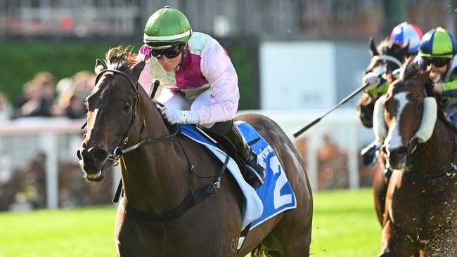 Mornington Glory returned to form with a dominant win at The Valley on Saturday. Picture: Vince Caligiuri/Getty Images