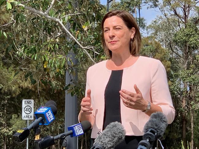 LNP Leader Deb Frecklington has promised a parliamentary inquiry into North Stradbroke Island management.