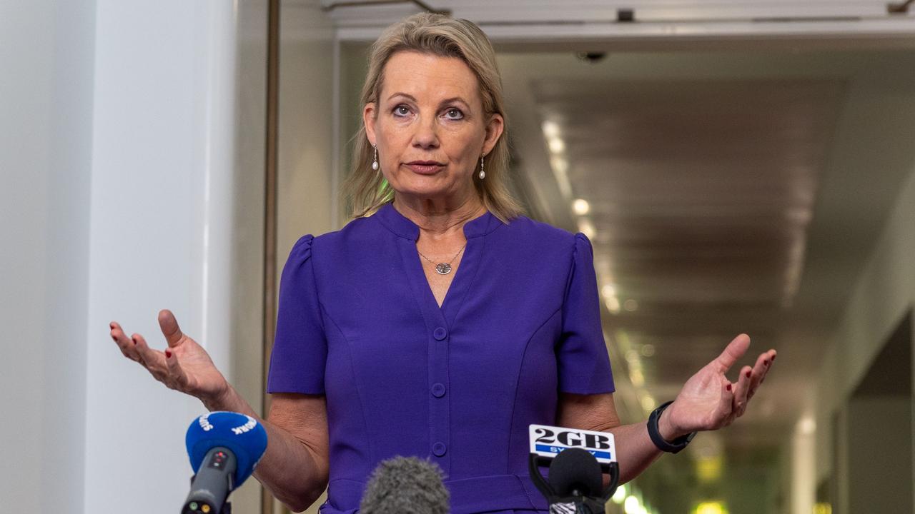 Deputy Leader of the Opposition Susan Ley, pictured at Parliament House in 2023, appeared jubilant about the Dunkley vote despite the Liberal candidate’s loss. Picture: NCA NewsWire/Gary Ramage