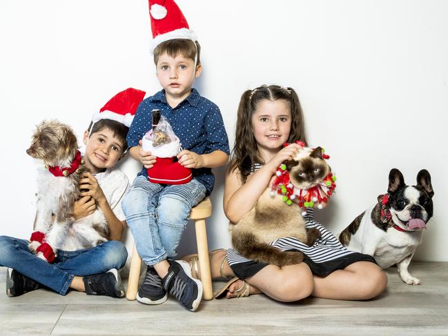 Six-year-old Hayden Callus with Lino, four-year-old Flynn Callus, and nine-year-old Ava Callus with Murphy and Airlie at DoggyTopia, Kallangur, Tuesday, December 15, 2020 - Picture: Richard Walker