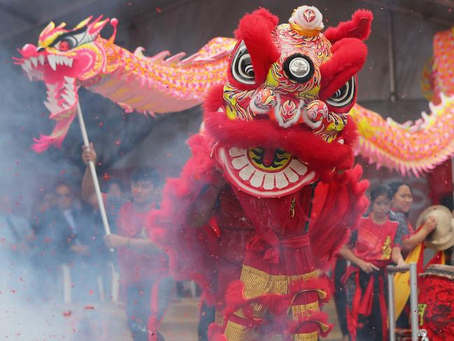 Lion dancers perform during the Georges River Lunar New Year Festival in Sydney, Saturday, January 18, 2020. (AAP Image/Jeremy Ng) NO ARCHIVING