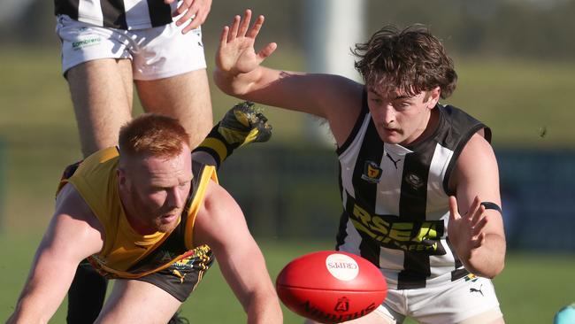 The Mercury understands the Tigers are keen to play in the TSL in 2024 while Glenorchy couldn’t be contacted to confirm. Picture: Nikki Davis-Jones