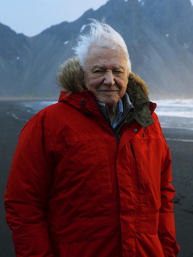 Sir David Attenborough patiently waited for his vaccine call up. Picture: Supplied