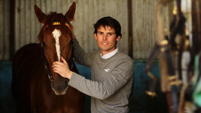  James Cummings with Eurozone at Leilani Lodge stables in Randwick. 