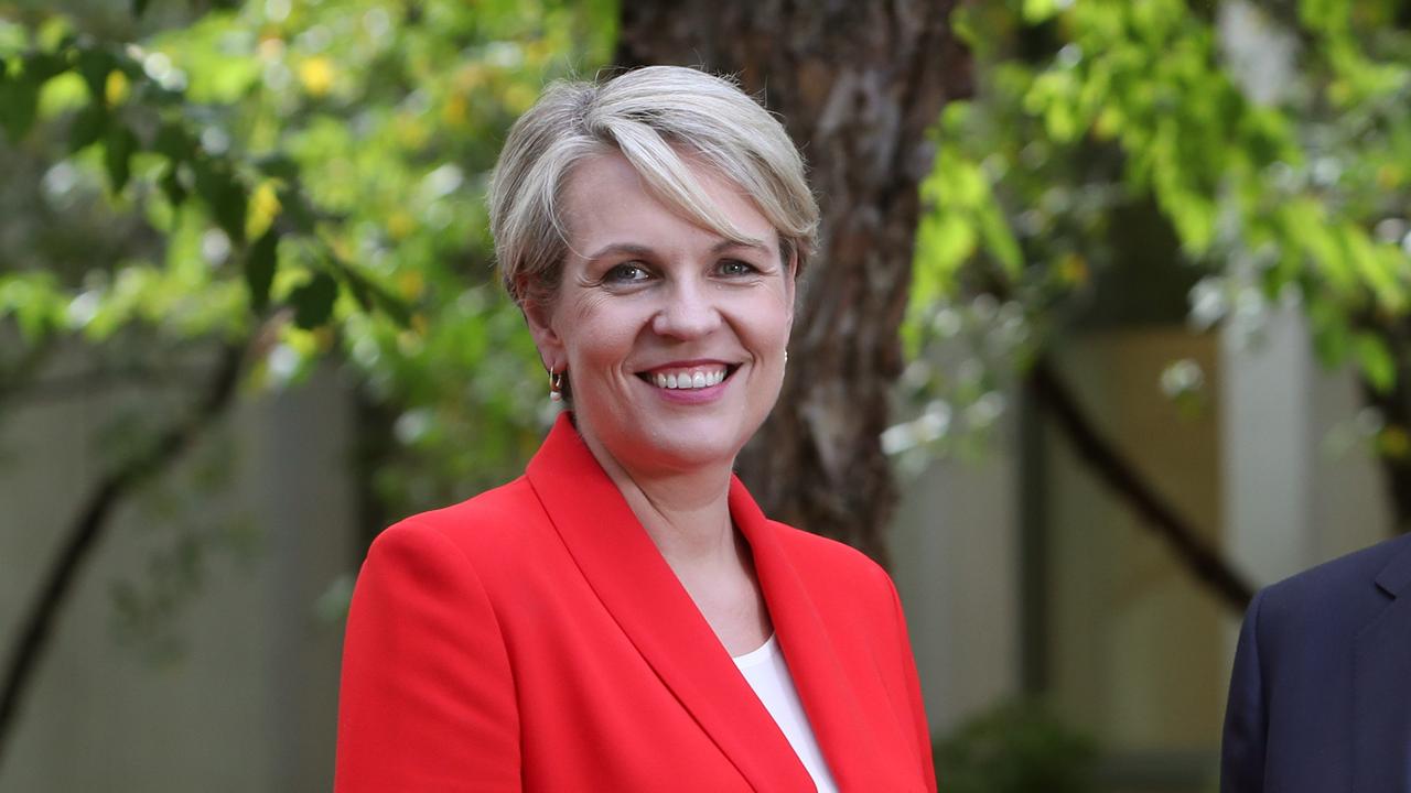 Deputy Opposition Leader Tanya Plibersek is being targeted in an anti-abortion micro-campaign. Picture: Kym Smith