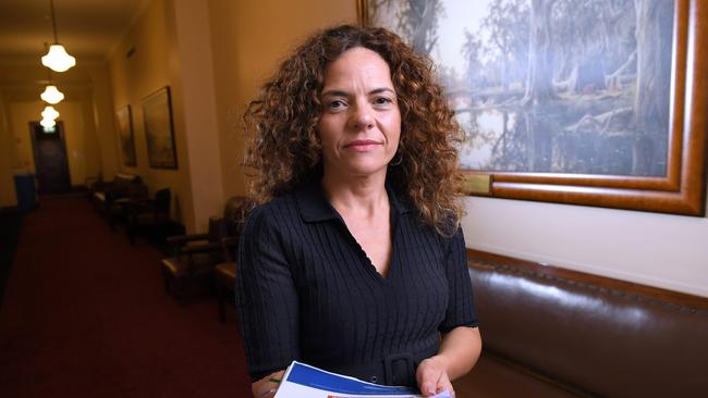 SA Best MLC Connie Bonaros is pushing tougher laws to penalise people who create harmful deepfakes. Picture: Mark Brake