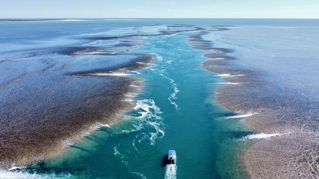 Montgomery Reef in the Kimberley region is simply awesome.