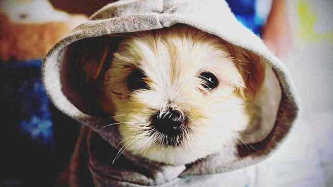 KEEP COSY: Here's nine hot tips to help you beat the icy weather. Picture: Brooke Elizabeth Humphreys