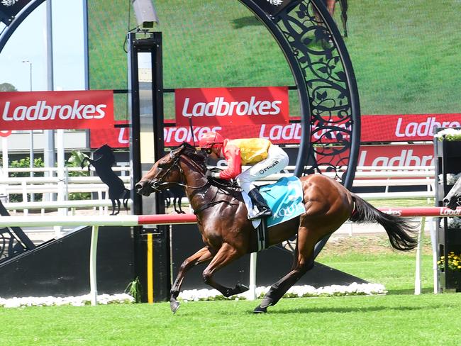 Barbie's Sister locks away her spot in the Magic Millions by winning the Listed Calaway Gal at Eagle Farm under Jimmy Orman. Picture: Natasha Wood - Trackside Photography