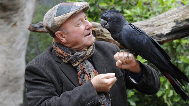 Tv Vet Dr Harry Cooper Visits Healesville Sanctuary To Film Better Homes And Gardens Segment Herald Sun