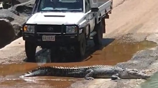 Cahills Crossing croc roadblock