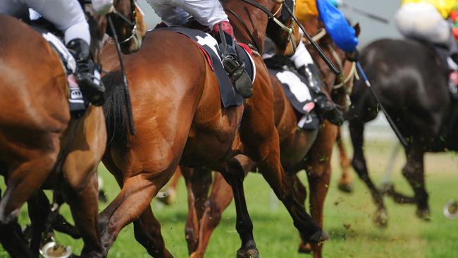 Research shows that domestic violence rates spike during spring racing. Picture: supplied