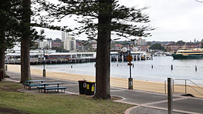 James Ardagh, 43, of Manly, pleaded guilty to assault and offensive behaviour charges after trying to bump elbows with strangers, and then abusing them when they refused, on West Esplanade on March 24. Picture: Adam Yip