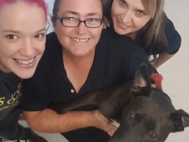 SoCares staff were “over the moon” to see Coco find a new home.
