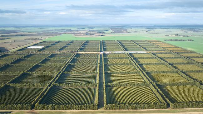 The Moora Citrus Group is selling its portfolio of assets, located 200km north of Perth in the state’s wheatbelt region at Dandaragan, WA.