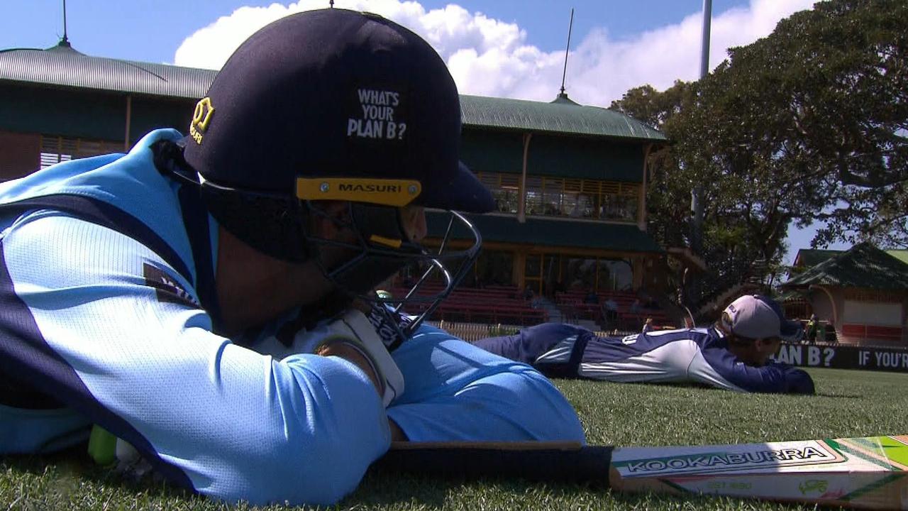 North Sydney Oval was hit by a swarm of bees