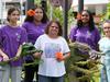Cairns Indigenous Art Festival launches its biggest program