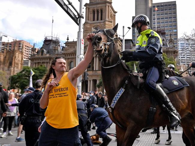 Two men charged over striking a police horse during rally