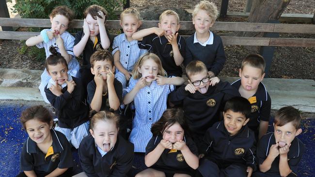 Lara Primary School Prep S Back row from left to right: Aaliyah Carr, Austin Collins, Matilda Smith, James Whitworth, James Corbett Middle row from left to right:Harper Tompkins, Reuben Jelbart, Chloe Tate, Zayne Layton, Sullivan Hutchings Front row from left to right: Ivy Di Battista, Harper Green, Heidi Greenwood, Viraj Pombra, Sonny Hughes Picture Mark Wilson