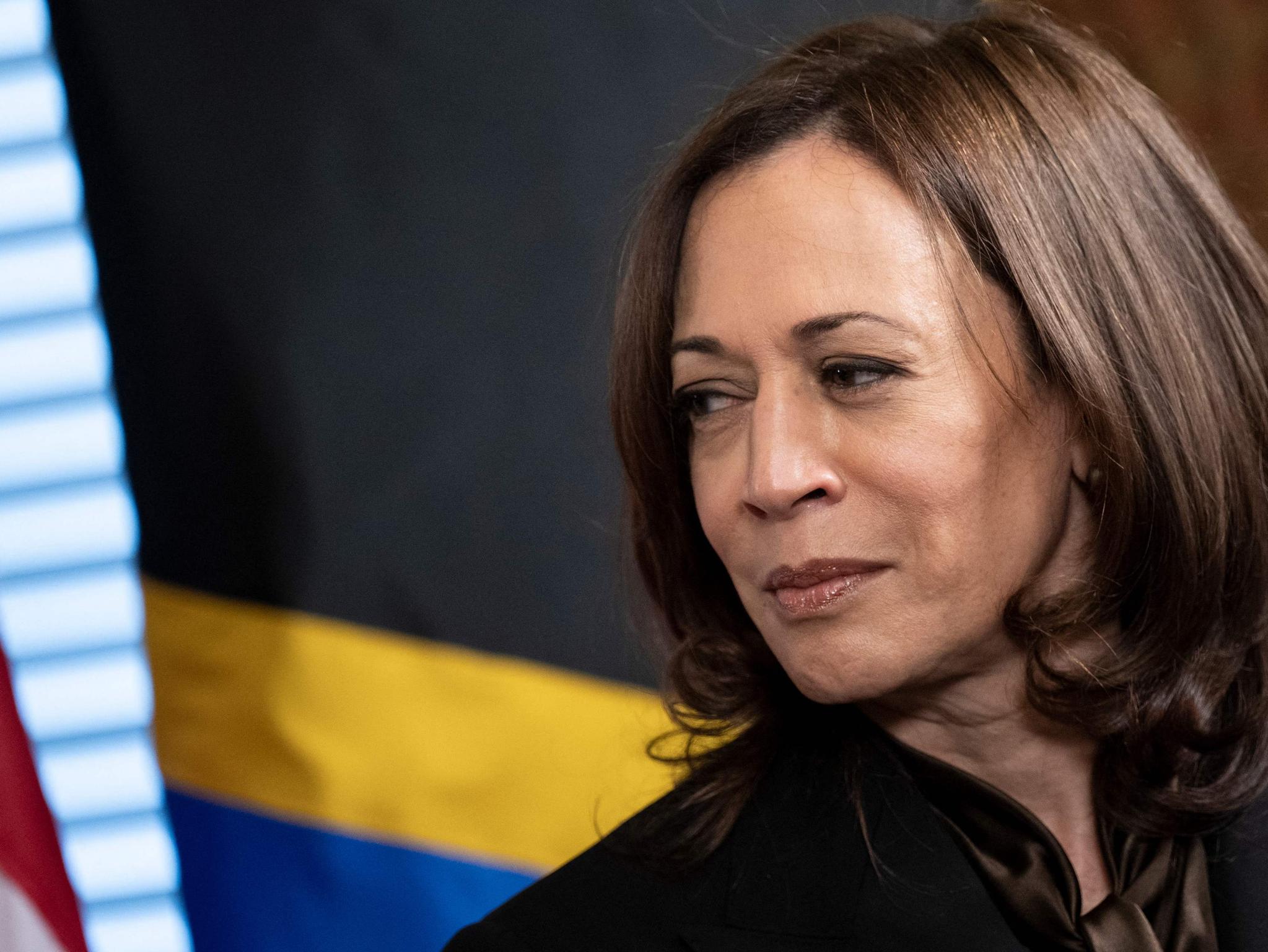 Take notes: Here's Kamala Harris' winning Wordle strategy