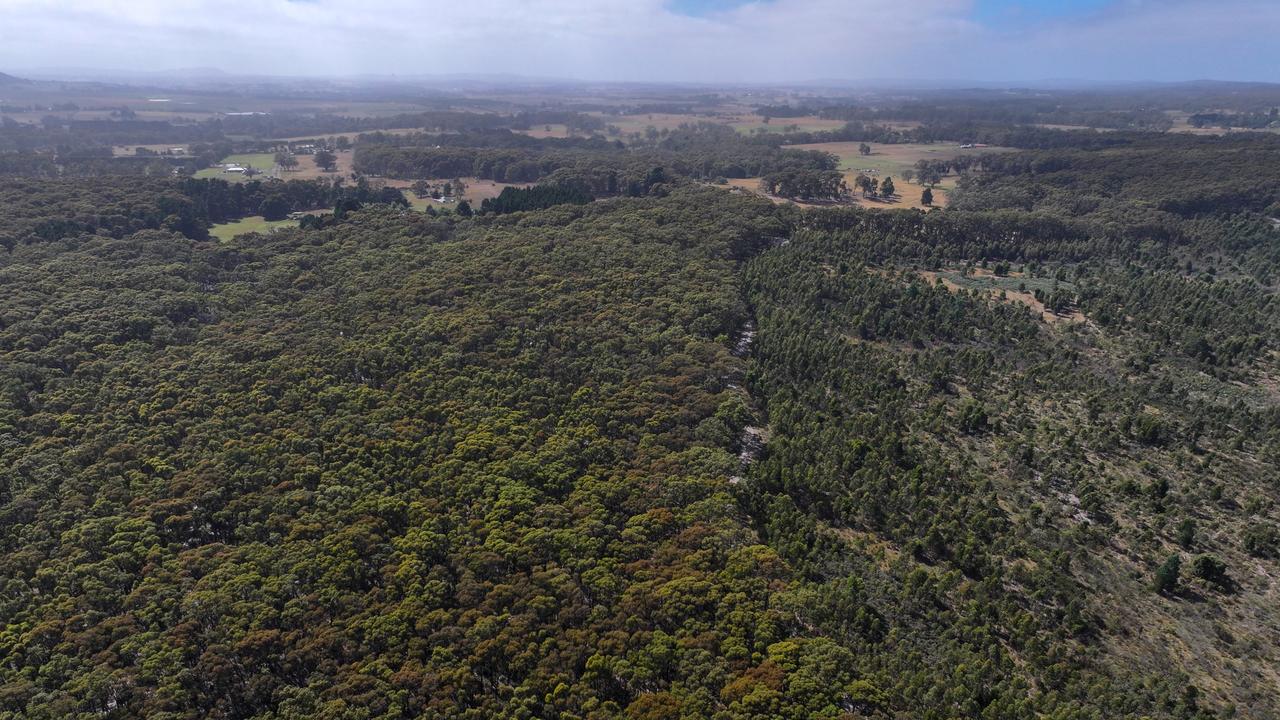 Samantha Murphy was known to exercise in bushland near her home. Picture: NCA NewsWire / Ian Wilson