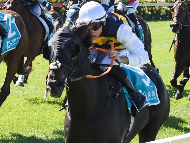 Sea King (GB) ridden by Declan Bates wins the Apiam Bendigo Cup at Bendigo Racecourse on October 30, 2024 in Bendigo, Australia. (Photo by Pat Scala/Racing Photos via Getty Images)