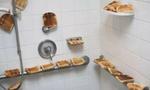 <b>Toast-y warm</b> 
<p>Dad joke or potential health hazard? This pregnant-wife told her husband she wanted a toasty shower. His response, to fill the shower with toast. Here's hoping he cleaned it up!</p>
