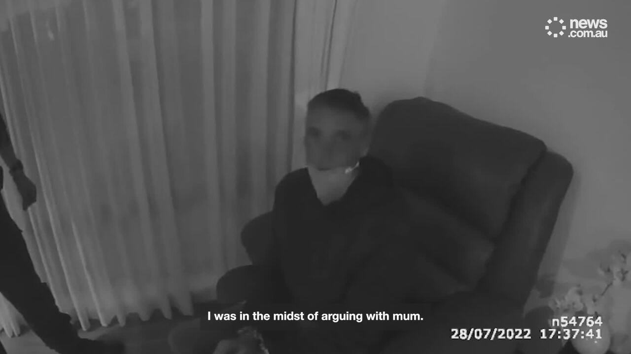 Man confesses to killing mum with pot plant