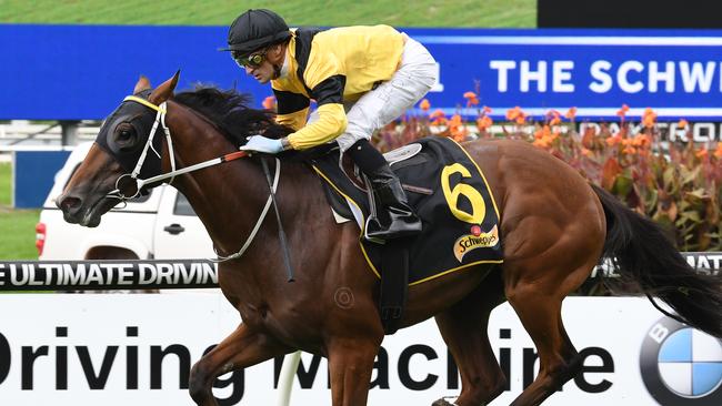 Race 1 — 12:20PM THE SCHWEPPERVESCENCE (1400 METRES). Winner 'The Mission' ridden by Cory Brown.