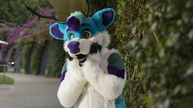 Some people identify as ‘furries’, which is becoming more normalised. Picture: Mark Cranitch