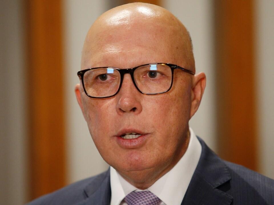 ‘Well he is’: Littleproud backs Dutton’s claim he is ‘most experienced’ economics leader