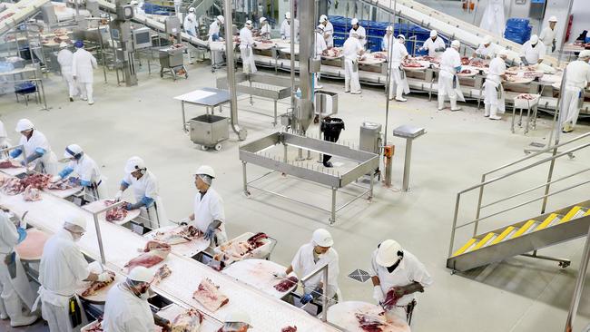 Paddock to plate: The Australian Country Choice abattoir at Murarrie in Queensland.