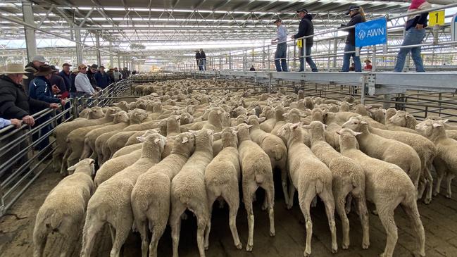 Victorian Farmers Federation livestock group president Scott Young said the proposed fee was “disappointing”.