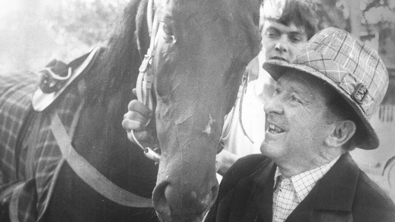 T. J. Smith, a racing trainer, with million dollar horse Kingston Town. b/w. p/. 19 November 1981. 
/racing          /racehorses