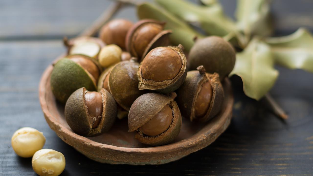 Macadamias Australia’s gift to the world The Australian