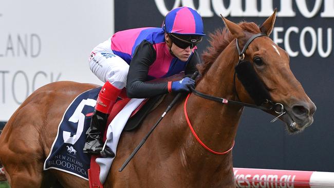 Vega Magic will be hard to beat in the Manikato Stakes.