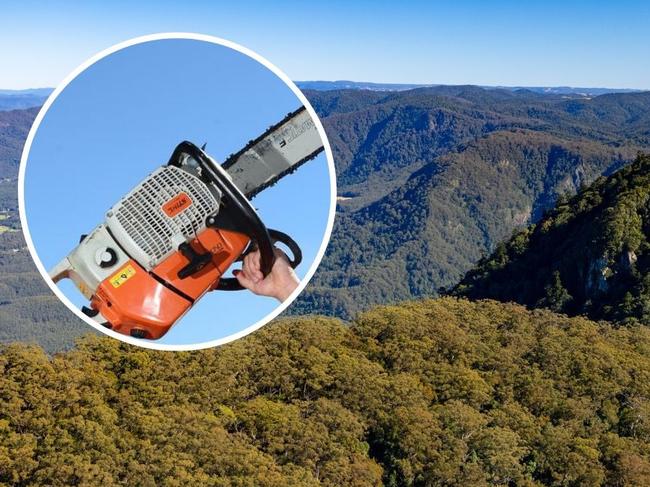 21-year-old Irvine Martin was sentenced in Coffs Harbour court this week after a drunken Australia Day rampage where he wielded a chainsaw in Dorrigo.