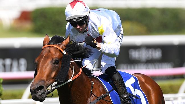 The Team Hawkes-trained Doubtland will be one to watch in the spring. Picture: AAP