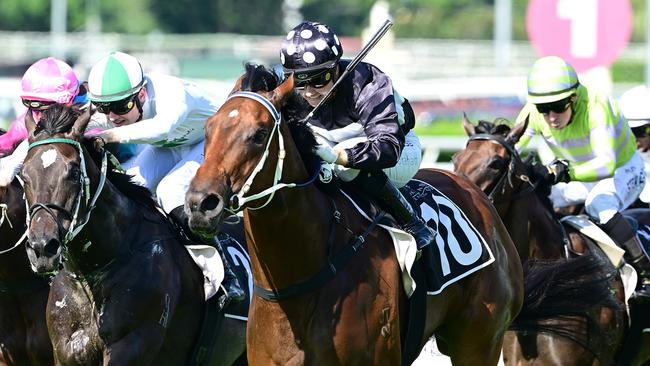 Benzou announces himself as a potential star when winning at Eagle Farm for trainer Billy Healey and jockey Cejay Graham. Picture: Grant Peters, Trackside Photography.