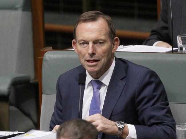 Former Australian Prime Minister Tony Abbott in Parliament on Monday arguing the government should be focusing on cutting electricity prices instead of cutting greenhouse gas emissions. Picture: Rod McGuirk/AP